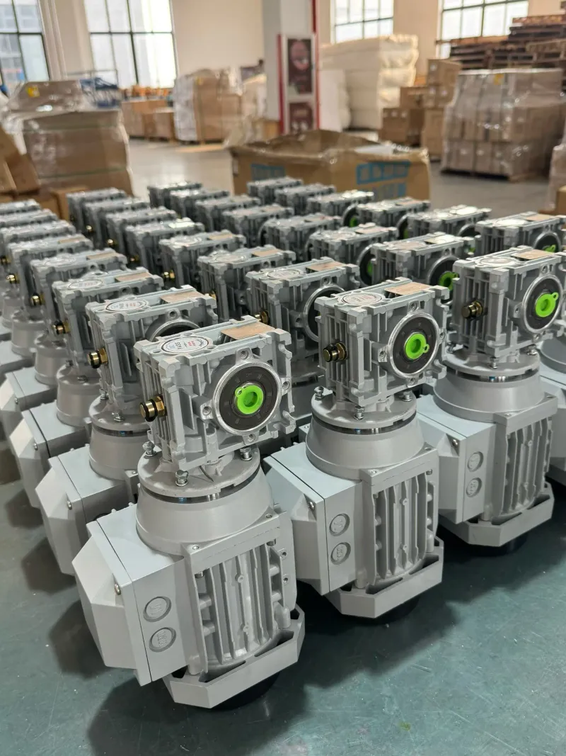 Successful Shipment of Worm Gear Reducer Motors